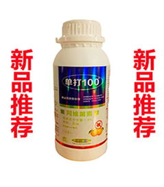 使用杀虫剂防治红蜘蛛