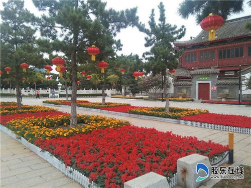 滨州市城管局发布惯与Zuo好2024年国庆节花卉摆放工作的通知.多图抢先堪!国庆天安门广场及长安街花卉布置方案出炉， 明起施工...