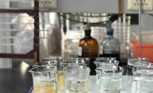 菊花泡水后变绿，是因水中亚硝酸盐与花中叶绿素反应