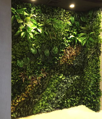 立体墙面绿化：如何挑选合适的花木配置？