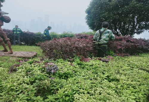 健康成长的秘诀