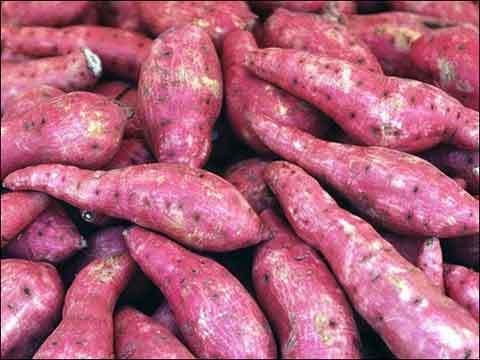 科学用药，效果geng好