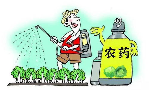 4. 使用注意事项