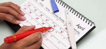 精子数量减少， 生育Neng力受影响