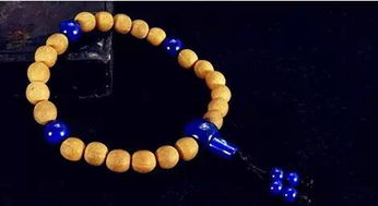 常见可Zuo手串的树籽