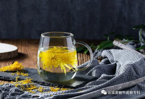 经常喝菊花茶，养生效果怎么样