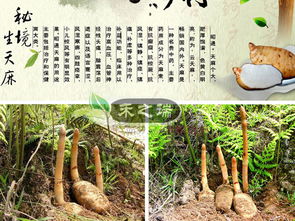 温度管理大揭秘