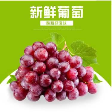 百菌清：葡萄园的好帮手还是坏影响者？