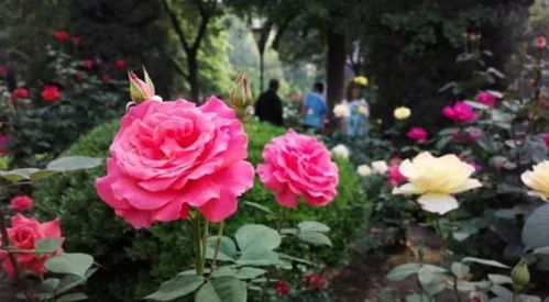 地理环境，南北差异要注意