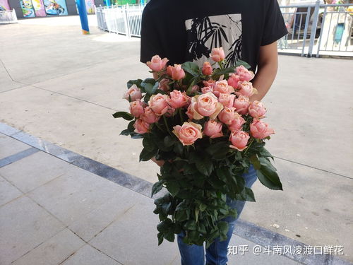 斗南鲜花拍卖，为何价格波动如此之大