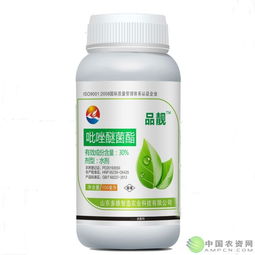 茄子种植中的神奇药水：吡唑醚菌酯大揭秘