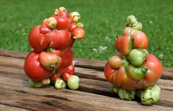 水果泡农药，这事儿咋这么吓人呢？