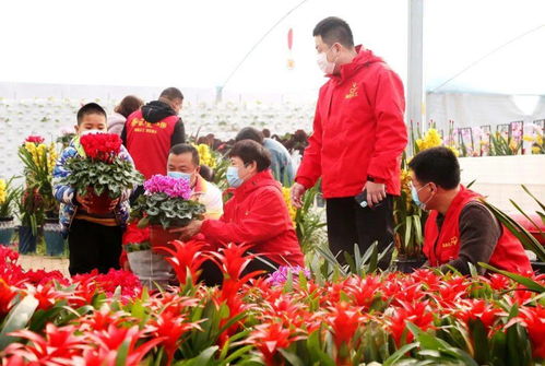 昌乐花卉市场， 花卉的聚集地