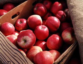 水果农药残留，多种多样