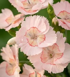 第一步：Zuo好保温工作