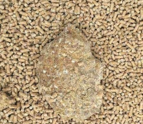 饲草霉菌毒素源于不当储存和生长环境