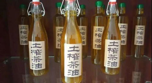 揭秘致癌疑云：山茶油，健康饮食的守护者