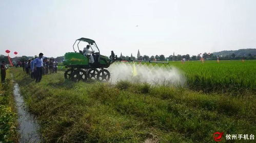 高效农药喷洒，一天几百亩，这是什么神奇设备？