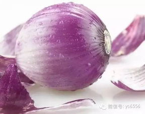 洋葱打药的天气