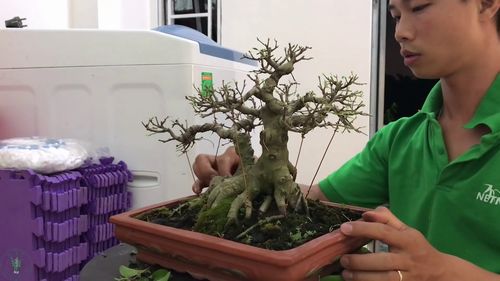 播种技巧，了解一下