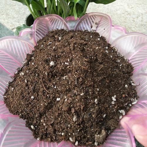 土壤性质和当地环境温度