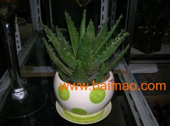 费用构成与核算