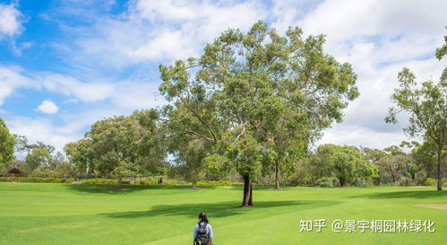 播种后的期待：发芽时间揭秘