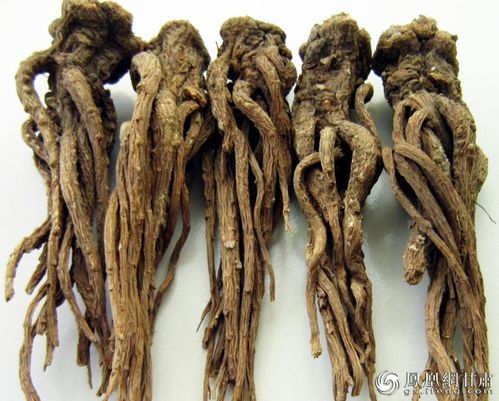 当归产地主要在甘肃岷县，那里产的当归最正宗