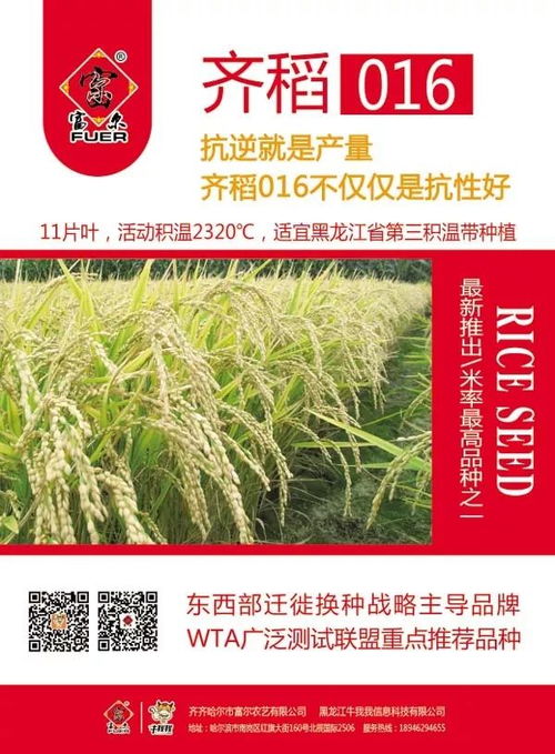 药剂浸种：水稻种子的保护神