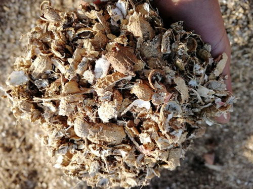 花生壳颗粒艾草粉草业公司的产品特点揭秘