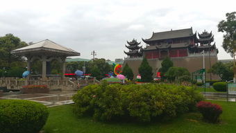 薛城风景区的侧柏景观优势