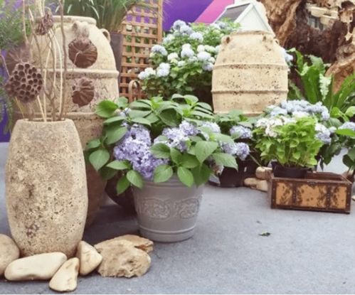 陶土罐的历史与魅力