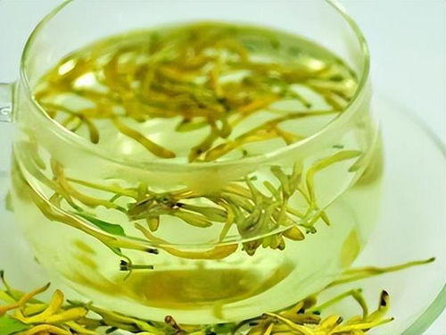 陈皮金银花菊花泡水，养生功效怎么样