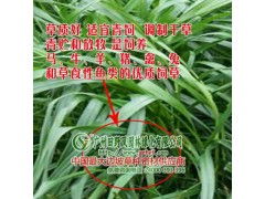 多种牧草， 丰富选择