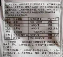 了解配制800倍液的基本概念