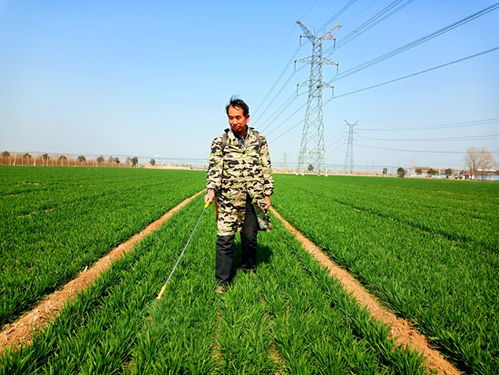 白粉病防治农药分类