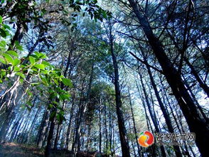 宋元明清：园林的成熟