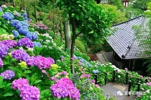 植物配置的艺术之道