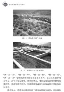 如何高效进行养殖选料、换料和存料？