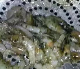 物理隔离技术：三招杜绝杀鱼虾悲剧