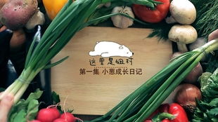 “小葱苗种植技巧有哪些？如何种植才能长得又快又好
