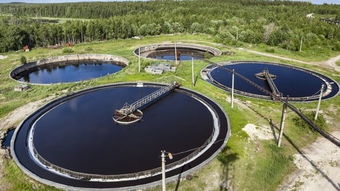 光合细菌在生态系统中的作用