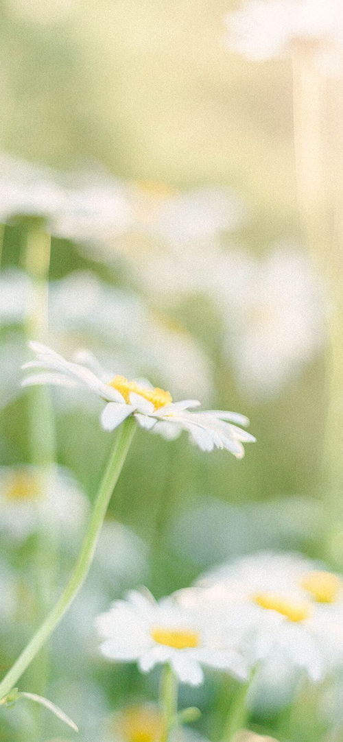 走出家门，探索自然