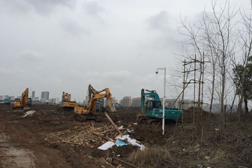 萧山加拿大农药厂：环境影响的秘密吗？