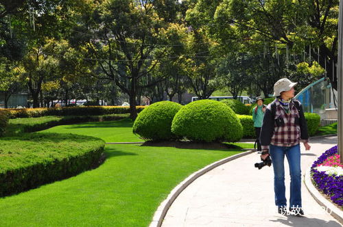 绿化员、绿化养护、绿化工程师：发展如何？