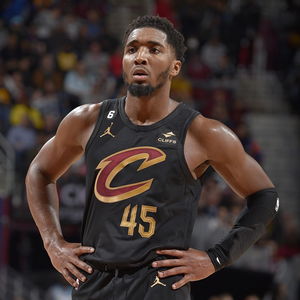 詹姆斯·米切尔月季， 花朵中的小明星