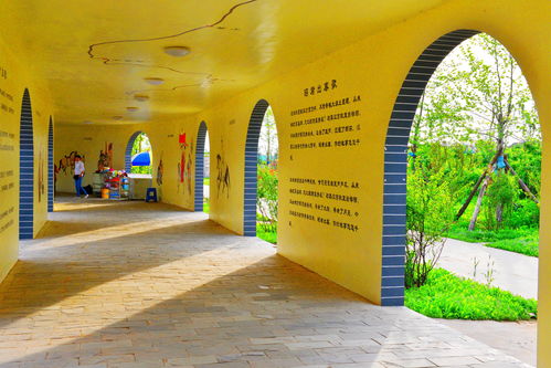 夏日喷药， 讲究时机