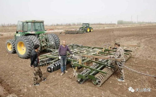 棉花种植需要注意哪些土壤和气候条件