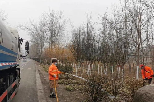 了解苗木返青， 掌握浇灌时机