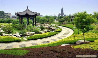 深圳市市政工程总公司官网上的市政园林中心口碑探秘